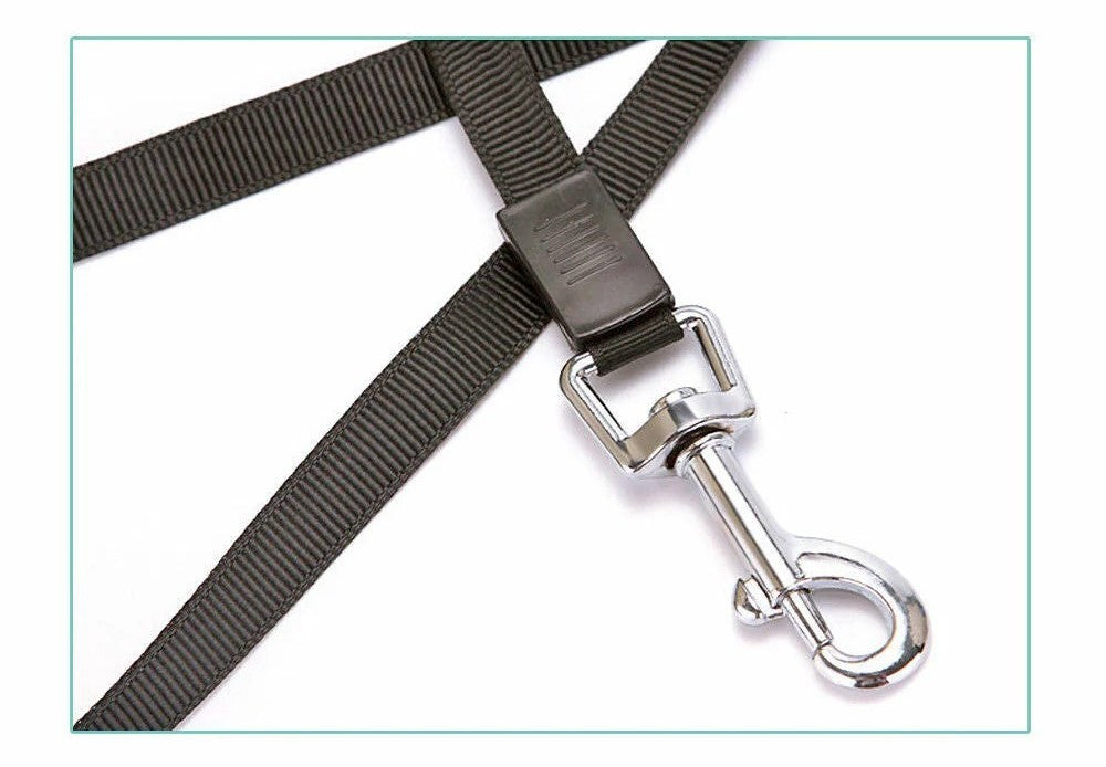 Automatic Retractable Dog Leash - Dual Size Options with Brake & Lock Safety System