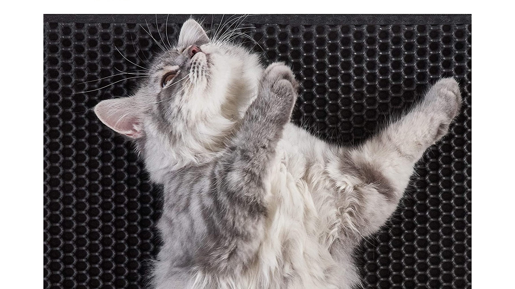 Cat Litter Trapping Mat